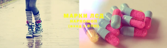 СК Гусь-Хрустальный