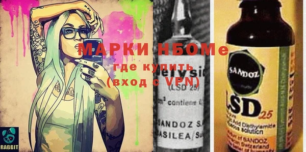индика Дмитровск