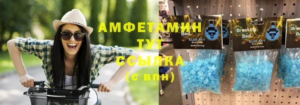 индика Дмитровск