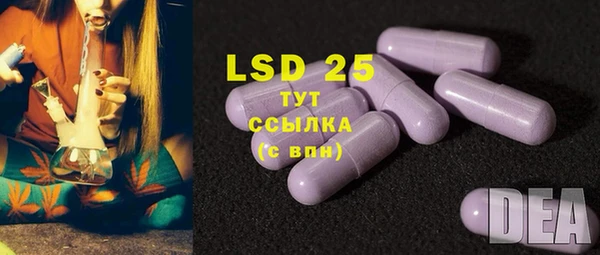 винт Дмитров