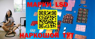 спиды Камышлов