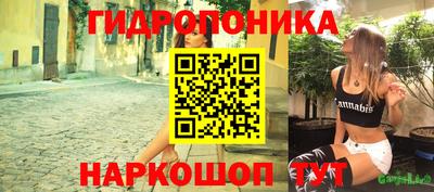 спиды Камышлов