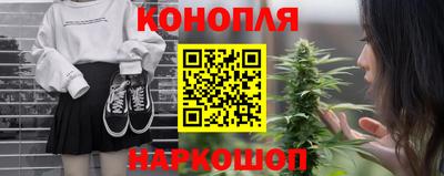 спиды Камышлов