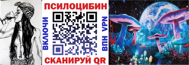 купить наркотики сайты  Моздок  Галлюциногенные грибы Magic Shrooms 