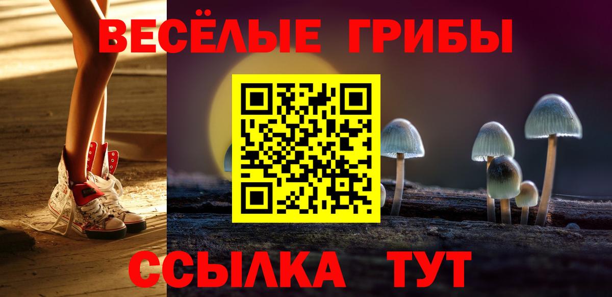 что такое наркотик  Вход с VPN  Моздок  Псилоцибиновые грибы Psilocybine cubensis 