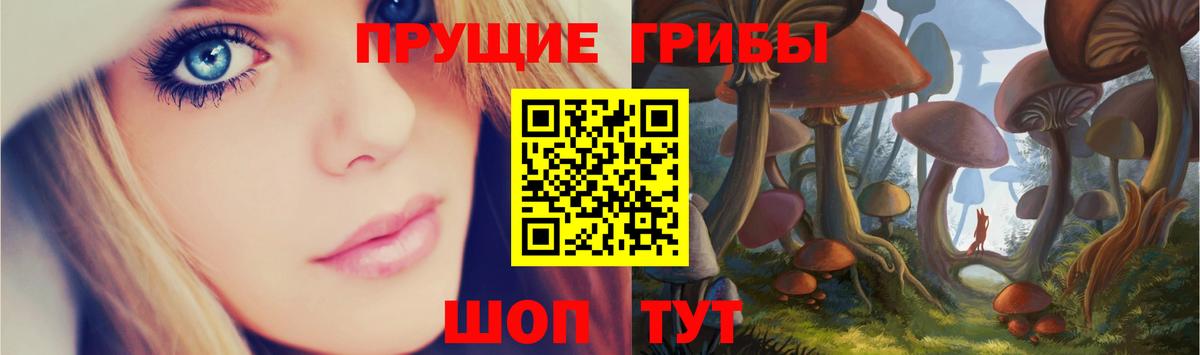 Галлюциногенные грибы мицелий Моздок