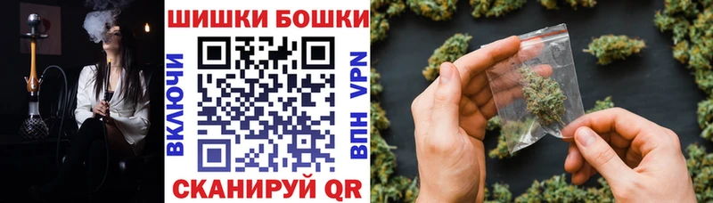 Бошки Шишки планчик  сколько стоит  Моздок 