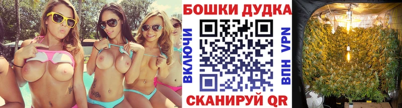 МАРИХУАНА гибрид Моздок